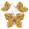 Floral butterfly made of dry leaves and flowers Royalty Free Stock Photo