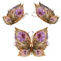 Floral butterfly made of flowers and leaves Royalty Free Stock Photo