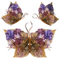Floral butterfly made of flowers and leaves Royalty Free Stock Photo