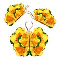 Floral butterfly made of narcissus petals leaves and flowers