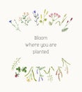 Floral card design with wild flowers, field herbal plants. Botanical postcard template with delicate pretty meadow herbs