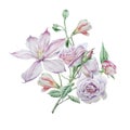 Floral card with flowers. Clematis. Rose. Alstroemeria. Watercolor illustration.
