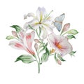 Floral card with flowers. Lilia. Alstroemeria. Butterfly. Watercolor illustration. Royalty Free Stock Photo