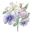 Floral card with flowers. Lilia. Pansies. Rose. Watercolor illustration.