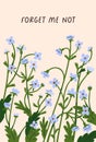 Floral card with spring flowers, wildflowers. Botanical postcard background design, beautiful blossomed forget me nots