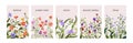 Floral cards with spring meadow flowers, field blossomed plants. Romantic botanical backgrounds set, floristic story