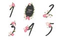 Floral carnation collection numbers in vintage color.