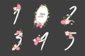 Floral carnation collection numbers in vintage color.