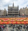 Floral carpet 2014 in Brussels