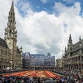 Floral carpet 2014 in Brussels