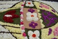 Floral carpet, festivity of Corpus Christ religious, Royalty Free Stock Photo