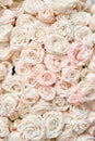 Floral carpet or Wallpaper. Background of mix of flowers. Beautiful flowers for catalog or online store. Floral shop and