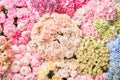 Floral carpet or Wallpaper. Background of mix of flowers. Beautiful flower for catalog or online store. Floral shop and