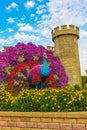 Floral castle in Dubai Miracle Garden Dubai UAE Royalty Free Stock Photo