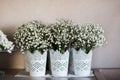 Floral centerpieces. White blooming flowers