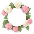 Pink and White Camellia Flowers Border Round Blank Copy Space Royalty Free Stock Photo