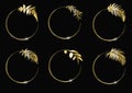 Floral circle frames set. Round golden frames with herbs and leaves on black background. Royalty Free Stock Photo