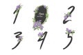 Floral clematis collection numbers in vintage color