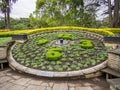 Floral Clock at Albert Park, Auckland, New Zealand Royalty Free Stock Photo