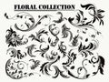 Floral collection Royalty Free Stock Photo