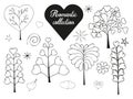 Floral collection of hand drawn romantic herbs.