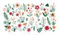 Floral collection with leaves, flower bouquets. Spring art print with botanical elements.Folk style.