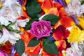 floral color mix background with selective focus Royalty Free Stock Photo
