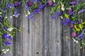 Floral colorful background. Field flowers on vintage weathered w