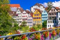 Floral colorful town Tubingen in Germany (Baden-Wurttemberg) Royalty Free Stock Photo