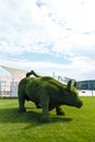 Floral composition, bush statue in shape of an ox. Biopark decoration