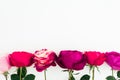 Floral composition with copy space. Pink and red roses flowers with green leaves on white background. Flat lay, top view Royalty Free Stock Photo