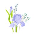 Floral Composition with Iris Flower on Green Erect Stem Vector Illustration