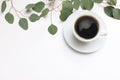 Floral composition made of green eucalyptus leaves and branches on white wooden background with cup of coffee. Feminine