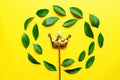 Floral composition made of green ruskus leaves and golden sequin crown on yellow background. Creative layout , top view