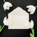 Floral composition with paper envelope and white tulips on black background. Flat lay, top view. Valentines day composition Royalty Free Stock Photo