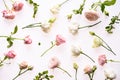 Floral composition , pattern made of pink and beige roses, green leaves, on white background. Flat lay, top view. Flowers pattern Royalty Free Stock Photo