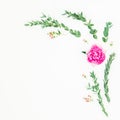 Floral composition of pink peony flowers and eucalyptus branches on white background. Flat lay, top view Royalty Free Stock Photo
