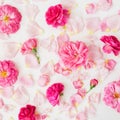 Floral composition with pink roses and leaves on white background. Flat lay Royalty Free Stock Photo