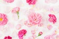 Floral composition with pink roses and leaves on white. Flat lay Royalty Free Stock Photo