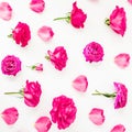 Floral composition with pink roses, petals and peonies on white background Royalty Free Stock Photo