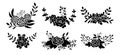 Floral composition set flower branch black glyph design elements