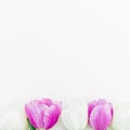 Floral composition with tulips flowers on white background. Spring time flowers. Flat lay, Top view. Royalty Free Stock Photo