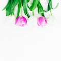 Floral composition with tulips flowers on white background. Summer time flowers. Flat lay, Top view. Royalty Free Stock Photo