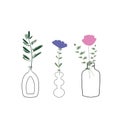 Floral compositions in vases. Bouquets of flowers. Interior decor. Modern design elements