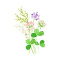 Floral Composition with Wildflowers and Meadow Plants Vector Illustration Royalty Free Stock Photo