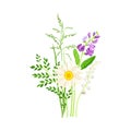 Floral Composition with Wildflowers and Meadow Plants Vector Illustration Royalty Free Stock Photo