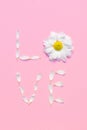 Floral composition. Word Love made from white Chrysanthemum petals on soft pink background