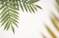 Floral concept with green palm leaves on gray marble background top view mock-up, flatlay nature white Royalty Free Stock Photo
