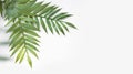 Floral concept with green palm leaves on gray marble background top view mock-up, flatlay nature white Royalty Free Stock Photo