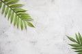 Floral concept with green palm leaves on gray marble background top view mock-up, flatlay nature white Royalty Free Stock Photo